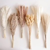 110 PCS Dried Pampas Grass Bouquet, Boho Table Decor, Bunny Tails Dried Flowers - Image 6