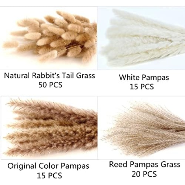 Dried Pampas Grass Decor, 100 PCS Pampas Grass Contains Bunny Tails Dried - Image 4