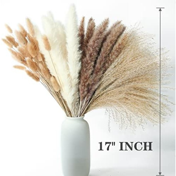 Dried Pampas Grass Decor, 100 PCS Pampas Grass Contains Bunny Tails Dried - Image 3